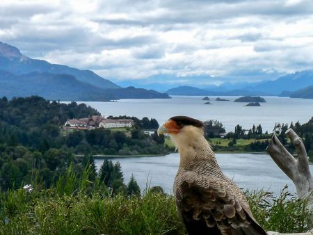 Bariloche y Dina Huapi – Secretos y experiencias