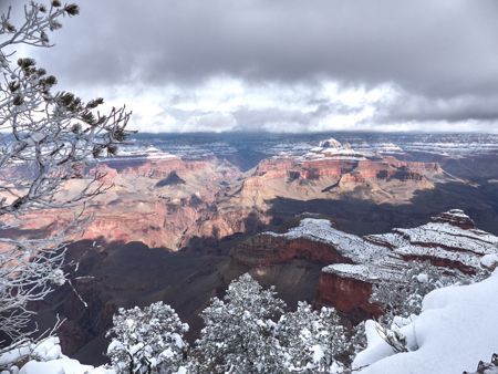 Gran Cañón del Colorado – Dos semanas en USA – 5ta. parte