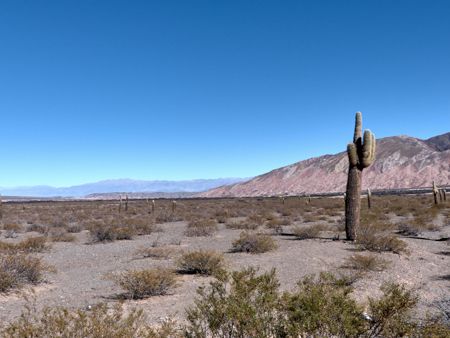 Cachi y Ciudad de Salta