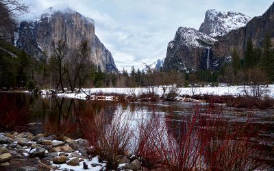 05-Yosemite y Sequoia National Parks-USA 2024