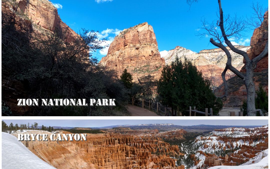 08-Bryce Canyon y Zion National Park-USA 2024