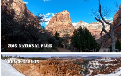 08-Bryce Canyon y Zion National Park-USA 2024