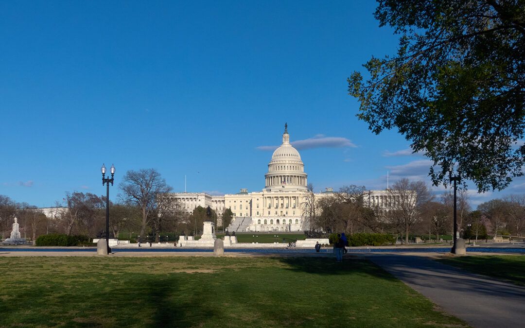 11-Washington DC-USA 2024